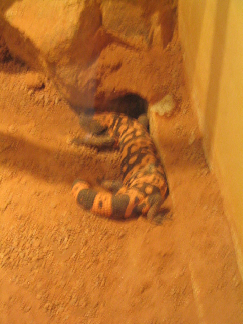 458x617 pixels (170K)